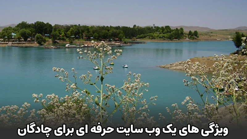 ویژگی های یک وب سایت حرفه ای برای چادگان